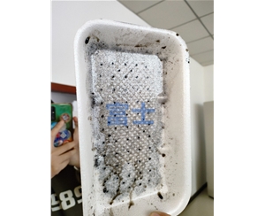 PS一次性吸水餐盒生产设备